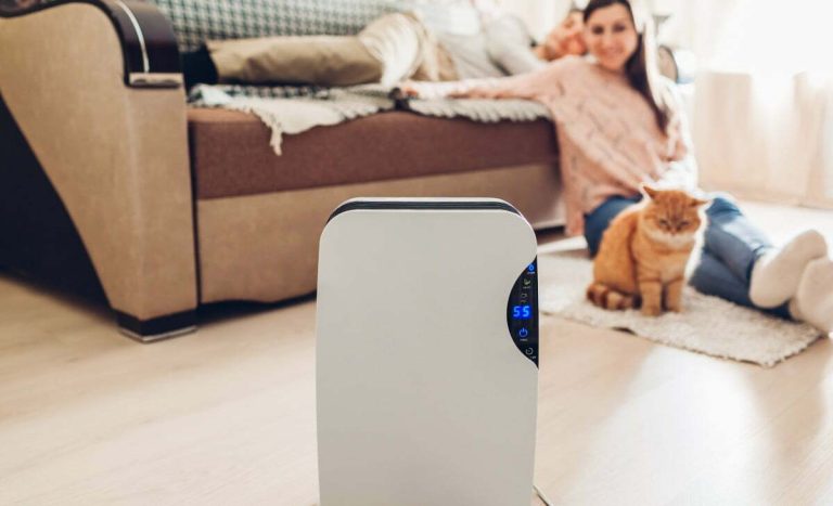 Read more about the article Managing Your Home’s Humidity