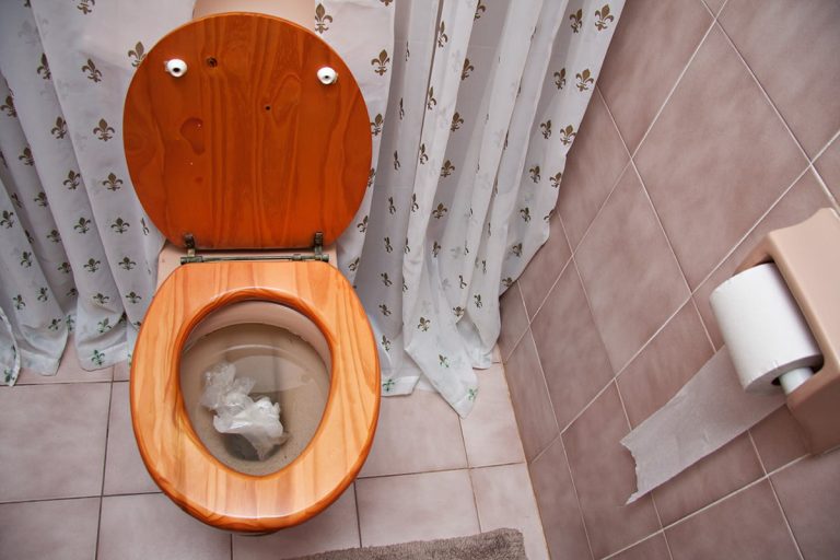 Read more about the article Skip the Drano