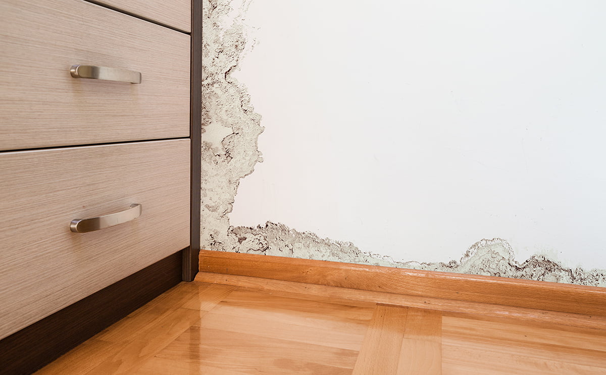 Read more about the article Keep An Eye Out For Potential Plumbing Problems