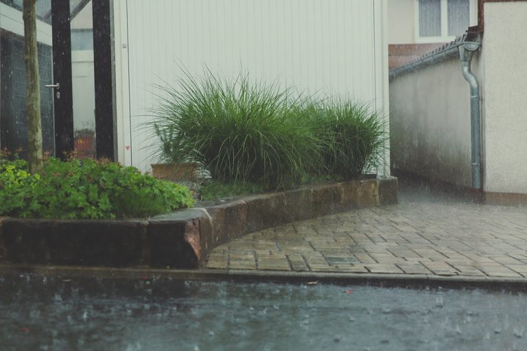 Read more about the article Is Your Plumbing Ready For Spring?