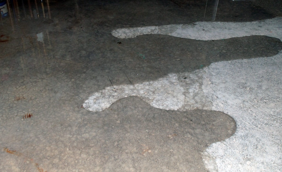 Read more about the article Three Common Basement Plumbing Problems