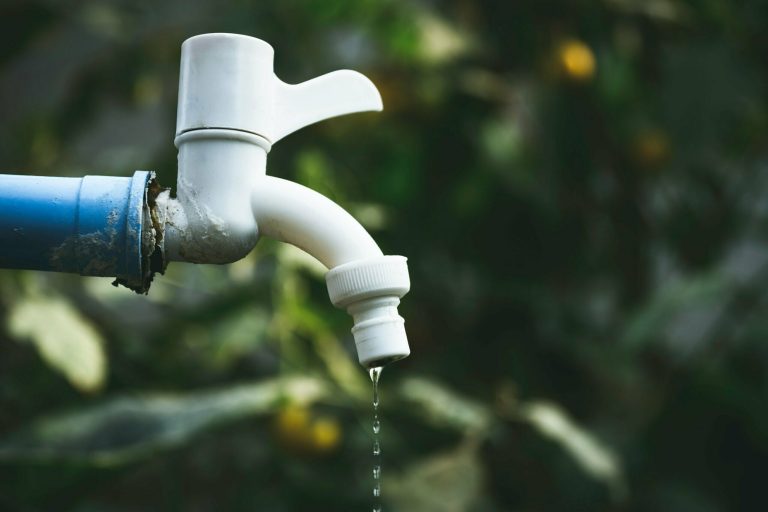 Read more about the article Three Common Spring Plumbing Problems