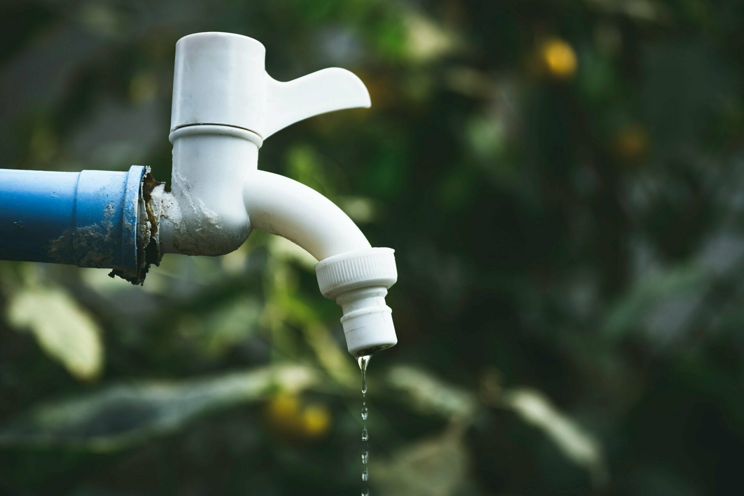 Read more about the article Three Common Spring Plumbing Problems