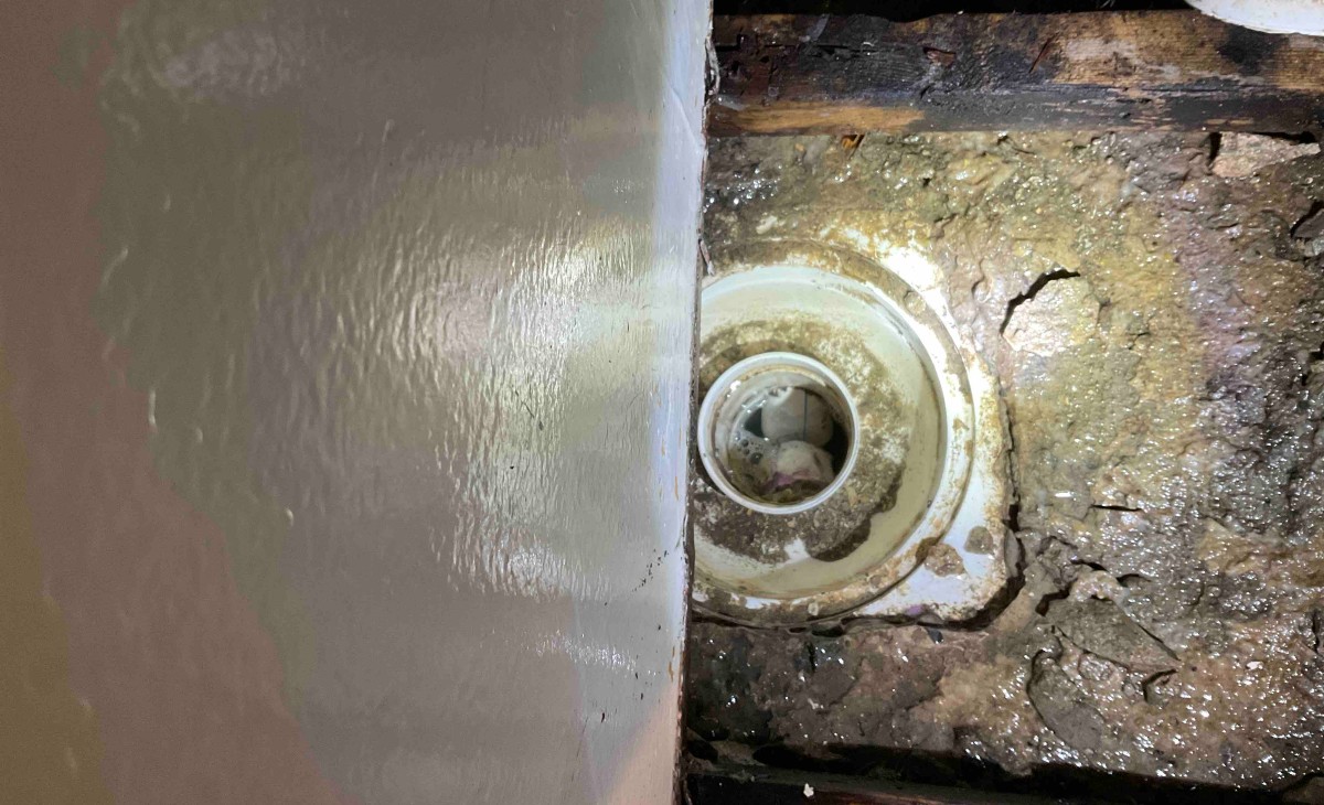 Read more about the article Three Springtime Plumbing Problems