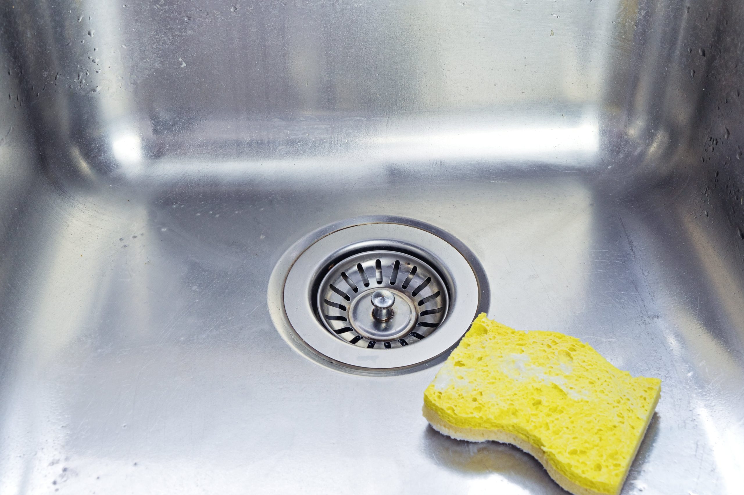 Read more about the article Tips for Protecting Your Drain