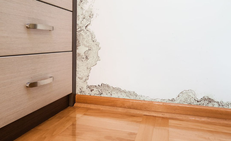 Read more about the article New Plumbing System